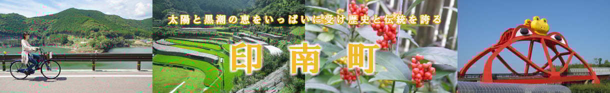 印南町
