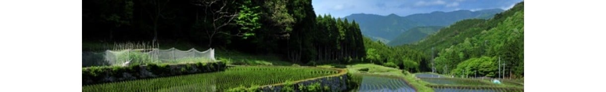 智頭町