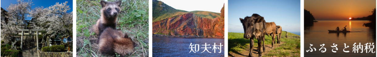 知夫村