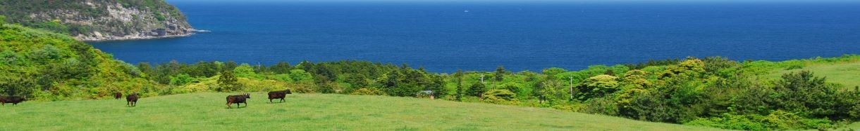 隠岐の島町