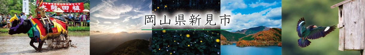 新見市