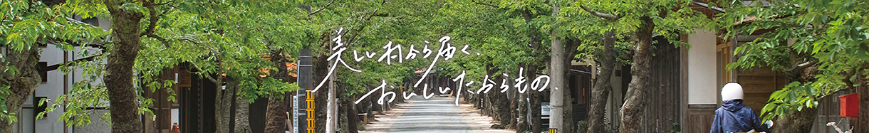 新庄村