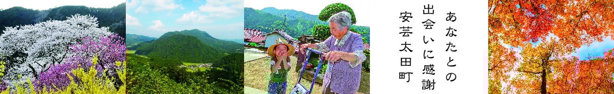 安芸太田町