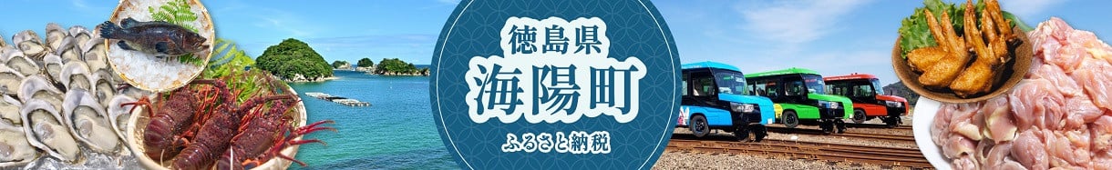 海陽町