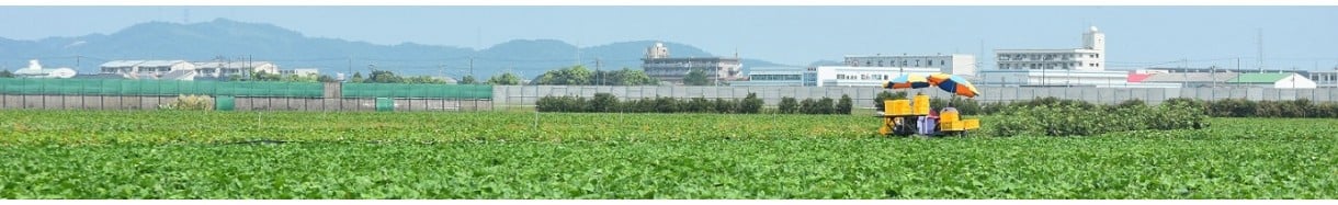 松茂町
