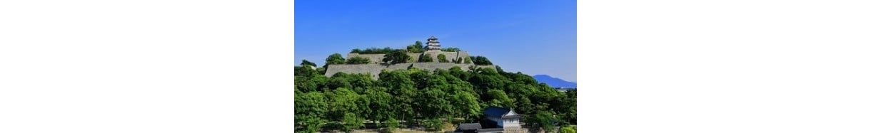 丸亀市