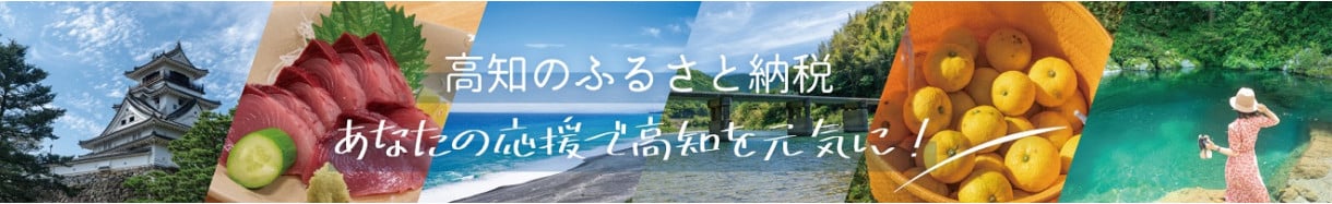 高知県庁