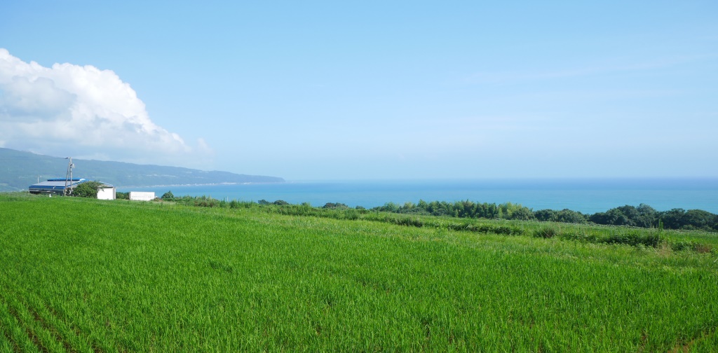 田野町