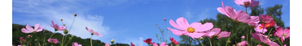 越知町