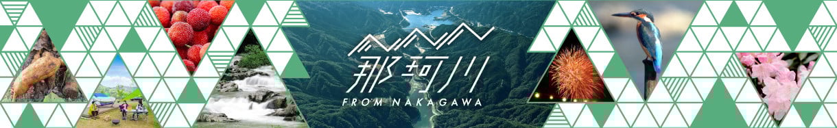 那珂川市