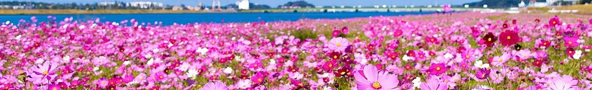 水巻町