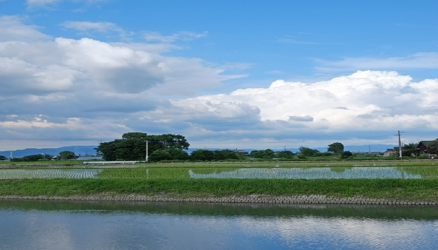 大木町
