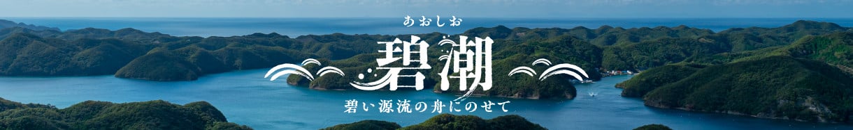 対馬市