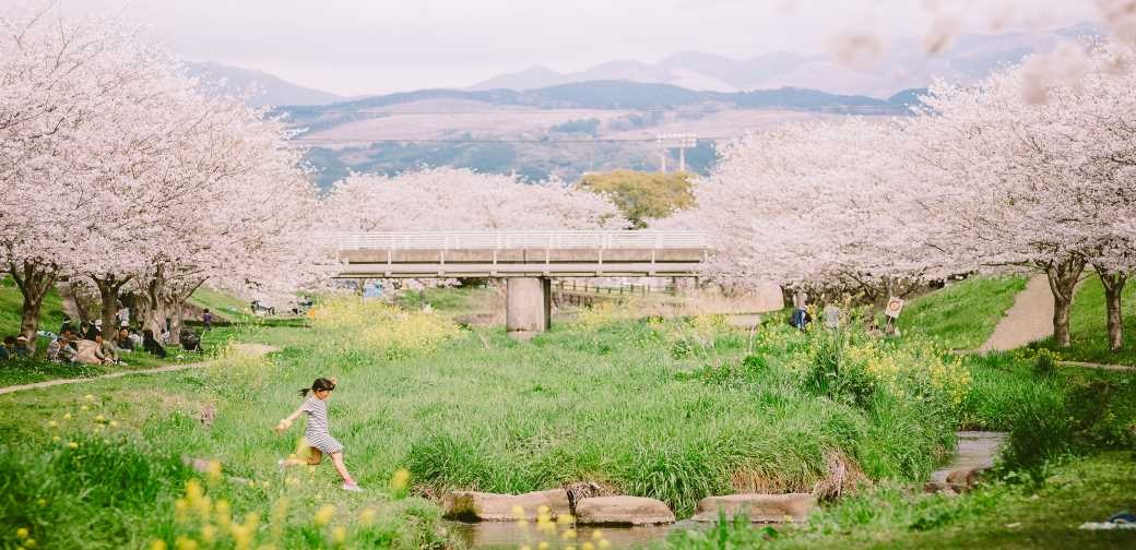 益城町