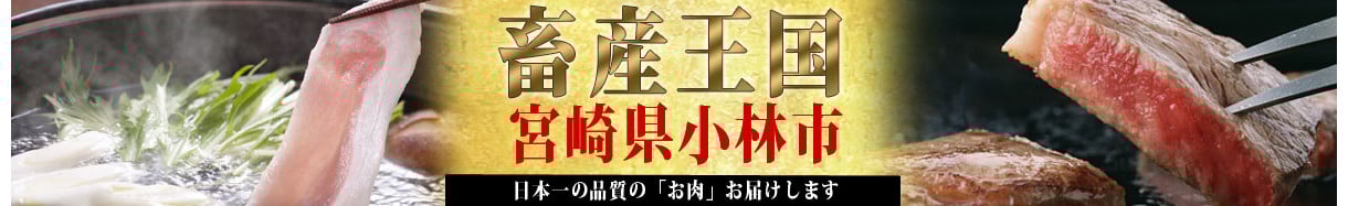 小林市