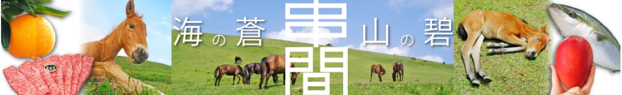 串間市