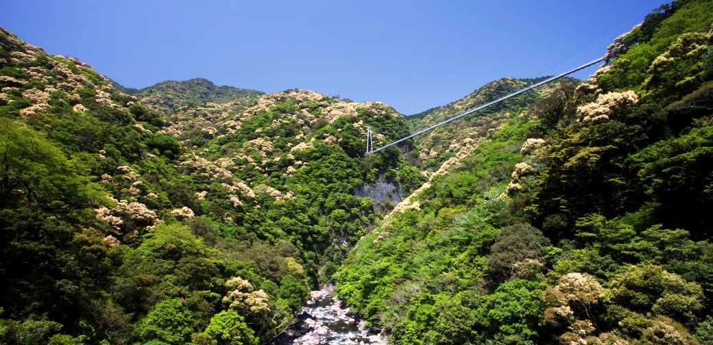 綾町