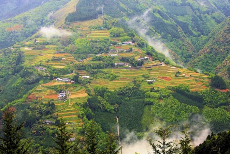 椎葉村