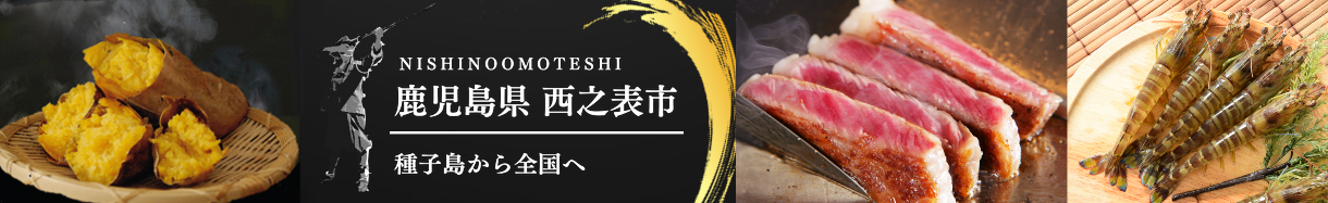 西之表市