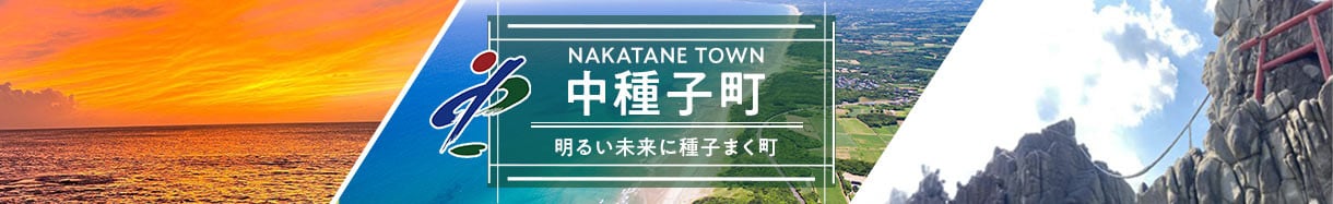 中種子町