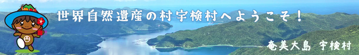 宇検村