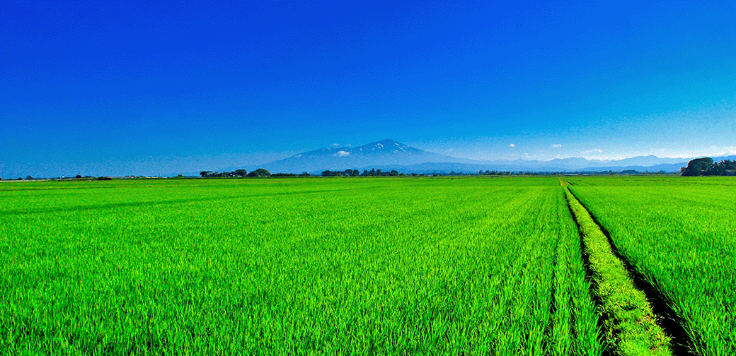 川俣町