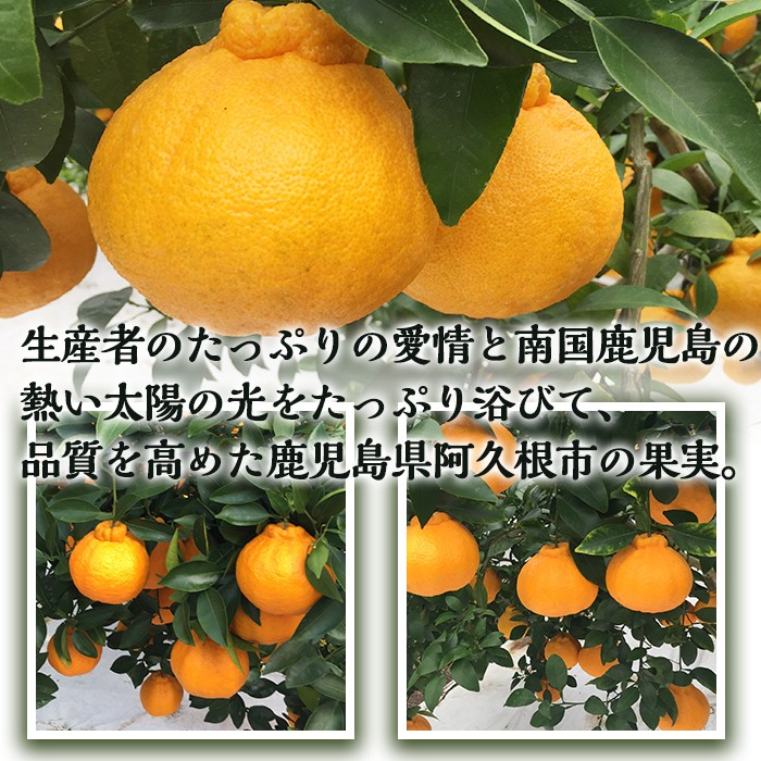 ふるさと納税の返礼品画像