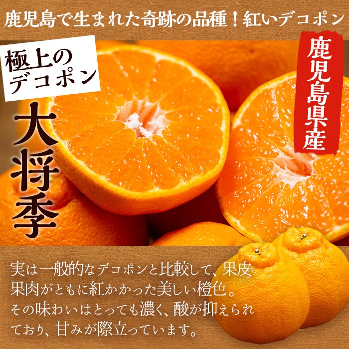 ふるさと納税の返礼品画像