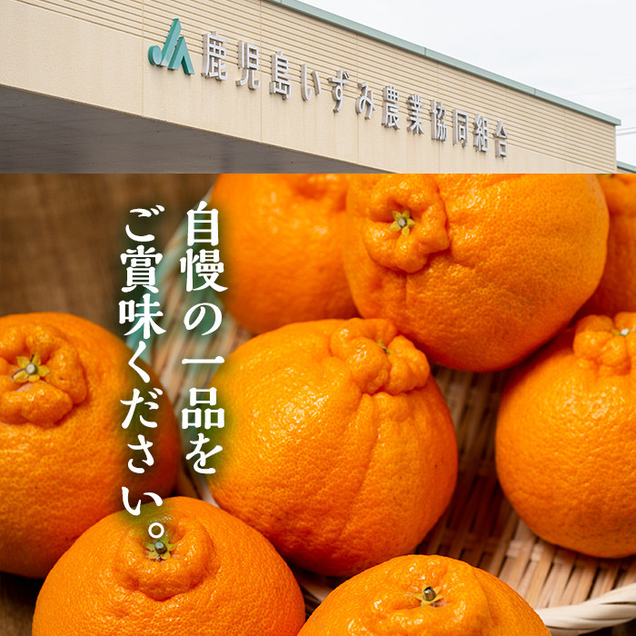 ふるさと納税の返礼品画像