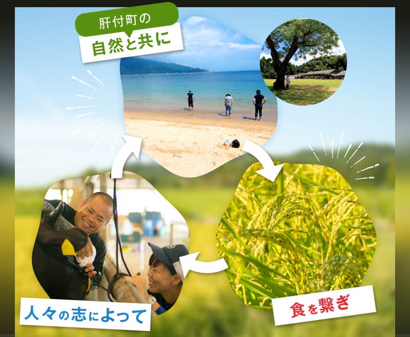 ふるさと納税の返礼品画像