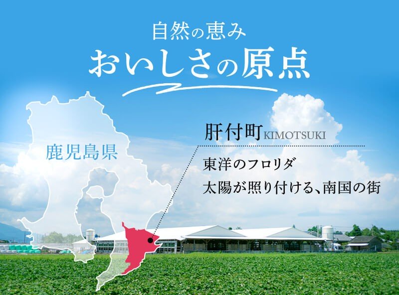 ふるさと納税の返礼品画像