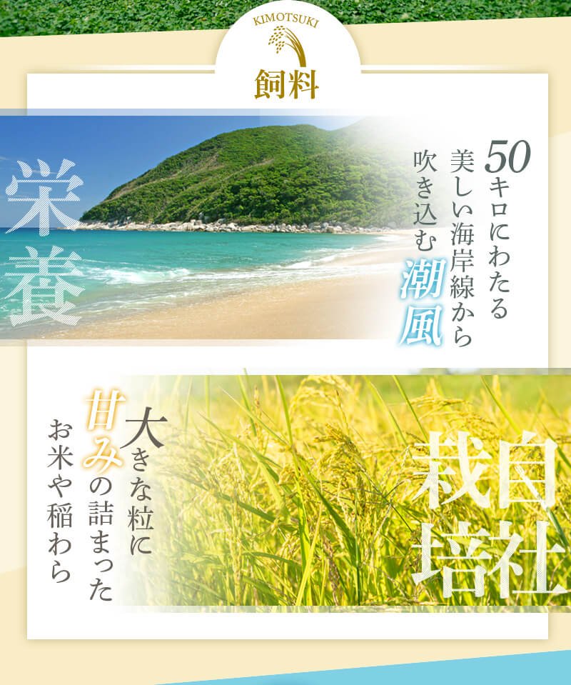 ふるさと納税の返礼品画像