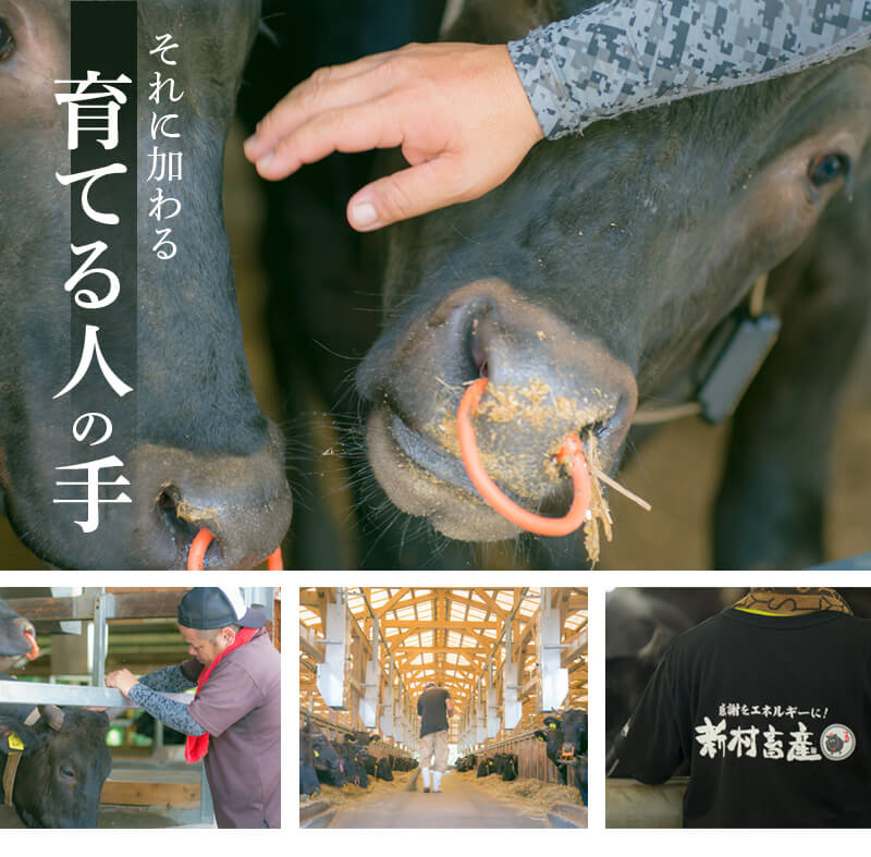 ふるさと納税の返礼品画像