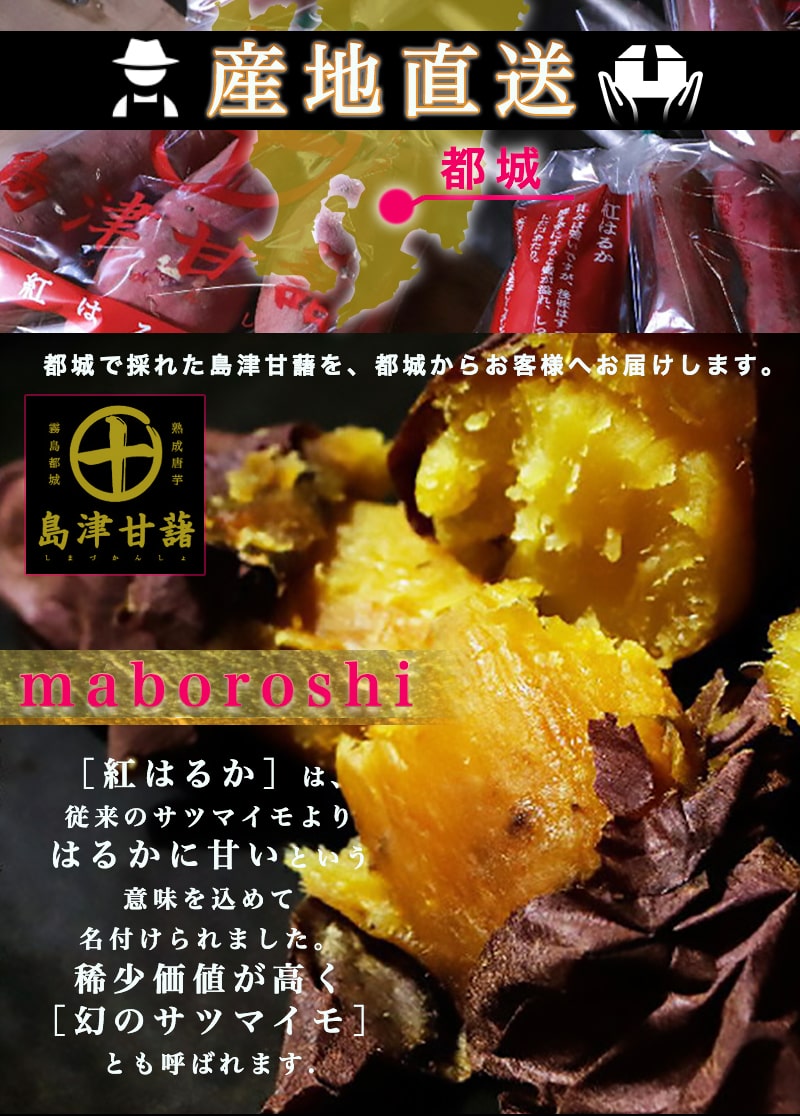 ӂ邳Ɣ[ł̕ԗi摜
