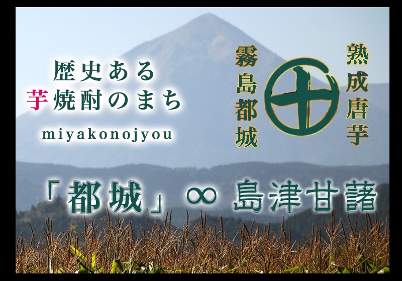 ӂ邳Ɣ[ł̕ԗi摜