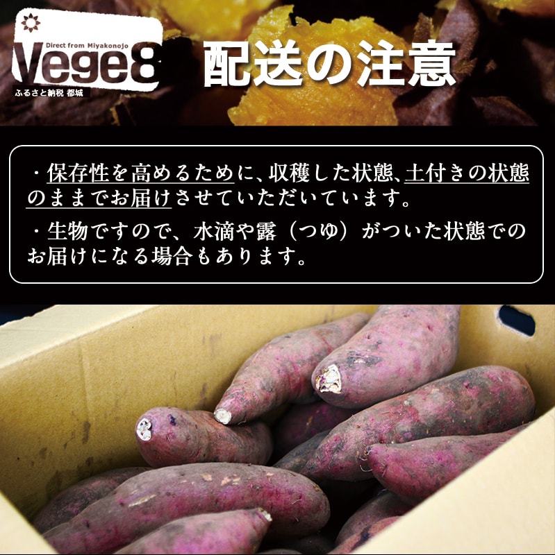 ӂ邳Ɣ[ł̕ԗi摜
