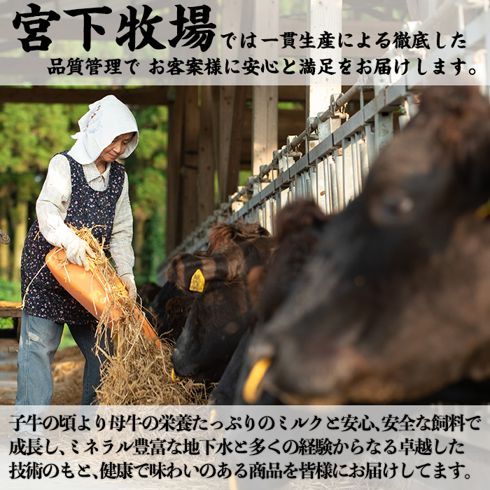 ӂ邳Ɣ[ł̕ԗi摜