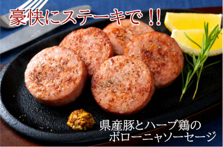 ӂ邳Ɣ[ł̕ԗi摜