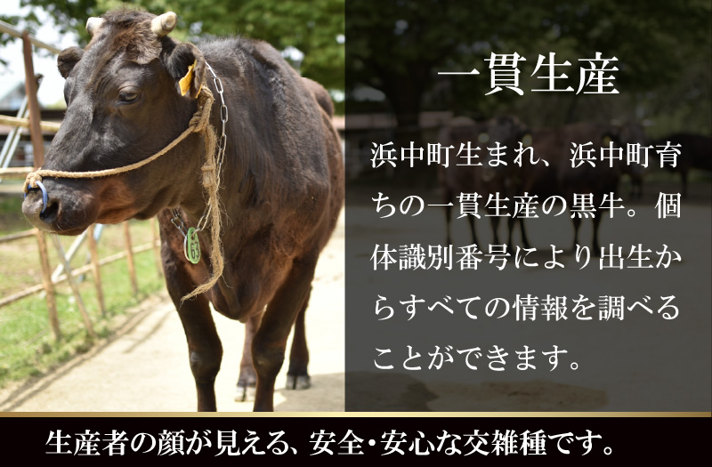 ӂ邳Ɣ[ł̕ԗi摜