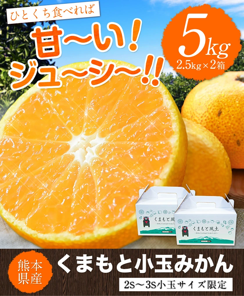 ӂ邳Ɣ[ł̕ԗi摜