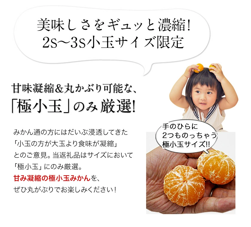 ӂ邳Ɣ[ł̕ԗi摜