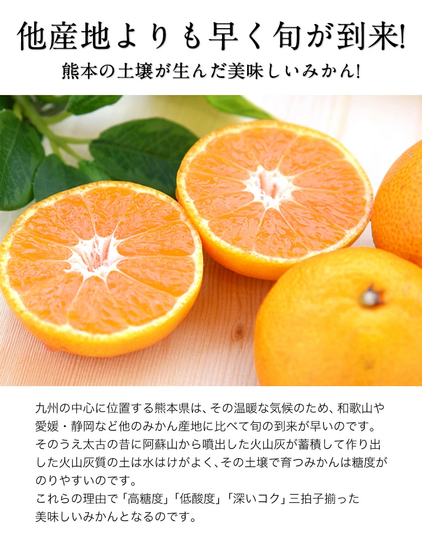 ӂ邳Ɣ[ł̕ԗi摜