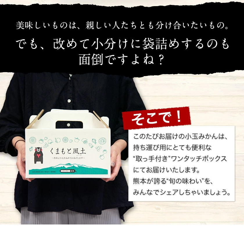 ӂ邳Ɣ[ł̕ԗi摜